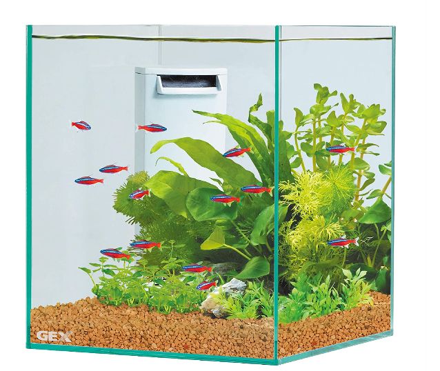 楽天市場 Gex グラステリア サイレント 0キューブh Aquarium Zenith