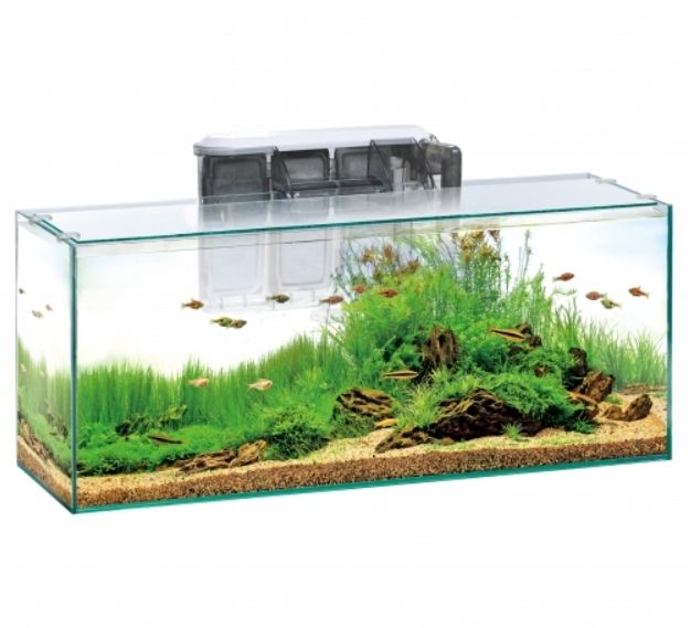 楽天市場 Gexグラステリアスリム600 6点セット Gts600 Aquarium Zenith