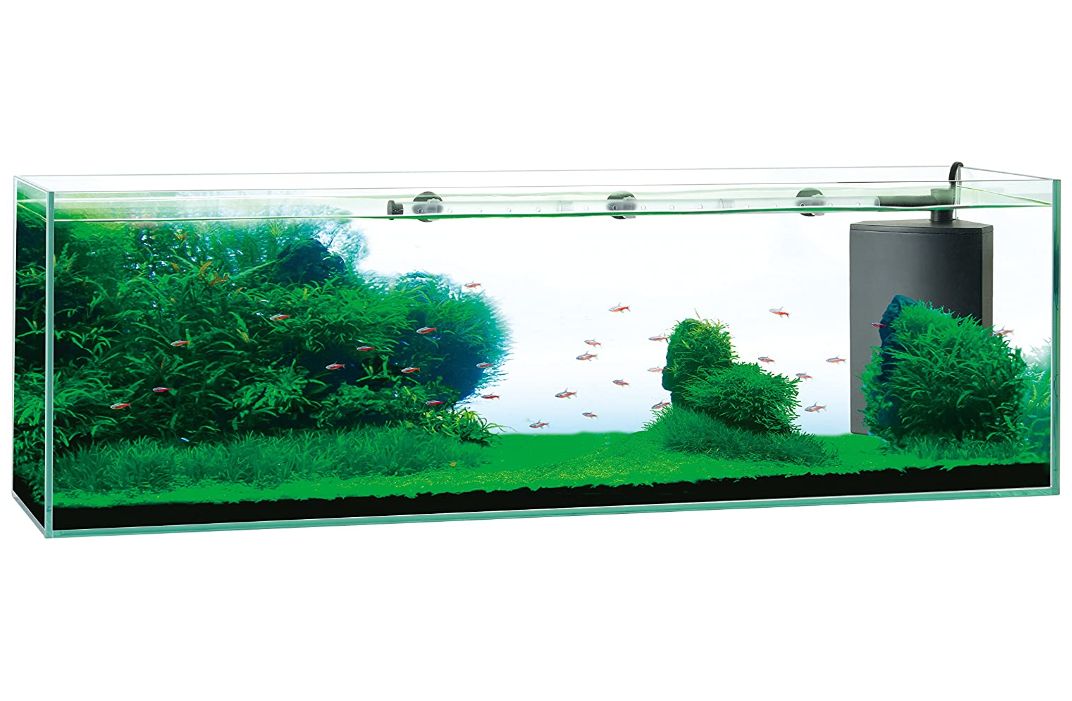 熱帯魚 飼育用品 サイレント 本格インテリア水槽を楽しめます 水槽セット サイレント Gexグラステリア Zenith 900スリムフィルターセット Aquarium