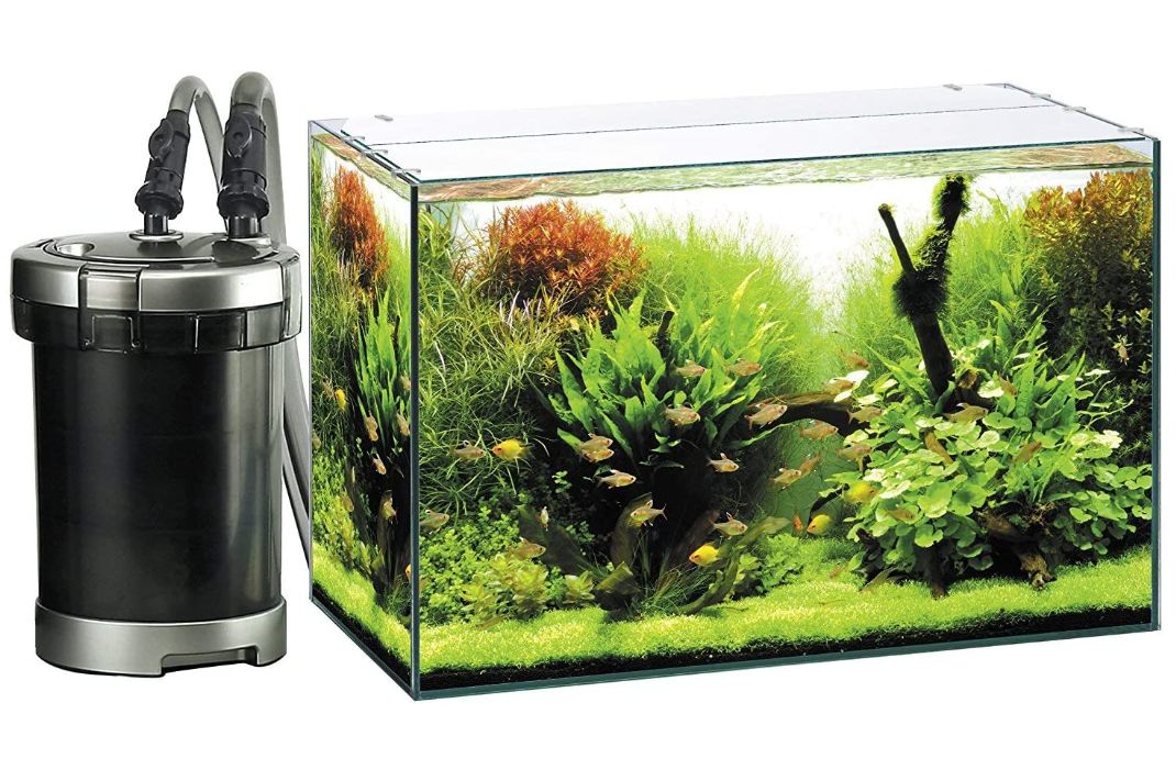 Gexグラステリア600 外部フィルター付ペット ペットグッズ 6点セット 外部フィルター付 Aquarium 水槽セット 6点セット Zenith 熱帯魚 飼育用品 本格インテリア水槽を楽しめます