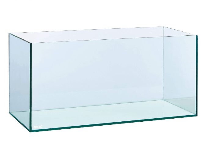 境目の美しさが違います 900st水槽フレームレス水槽 Aquarium 水槽 アクアリウム Gexグラステリア Gexグラステリア 水槽 熱帯魚 飼育用品 Zenith 日本人気メーカー直販超絶 の