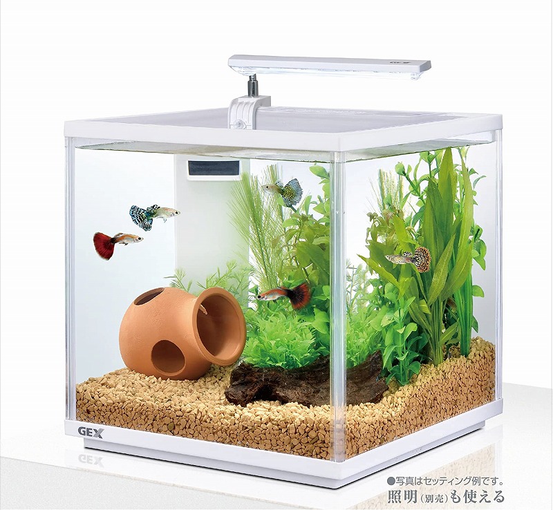 楽天市場 Gex サイレントフィット キューブ 250水槽セット Aquarium Zenith