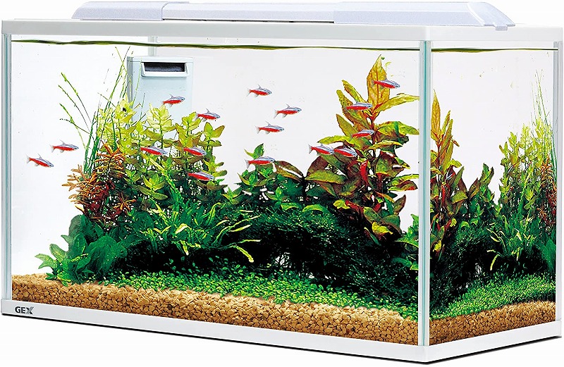 楽天市場 Gex サイレントフィット 500水槽セット Aquarium Zenith