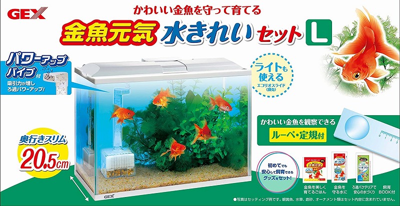 楽天市場 Gex 金魚元気 水きれいセットl水槽セット Aquarium Zenith