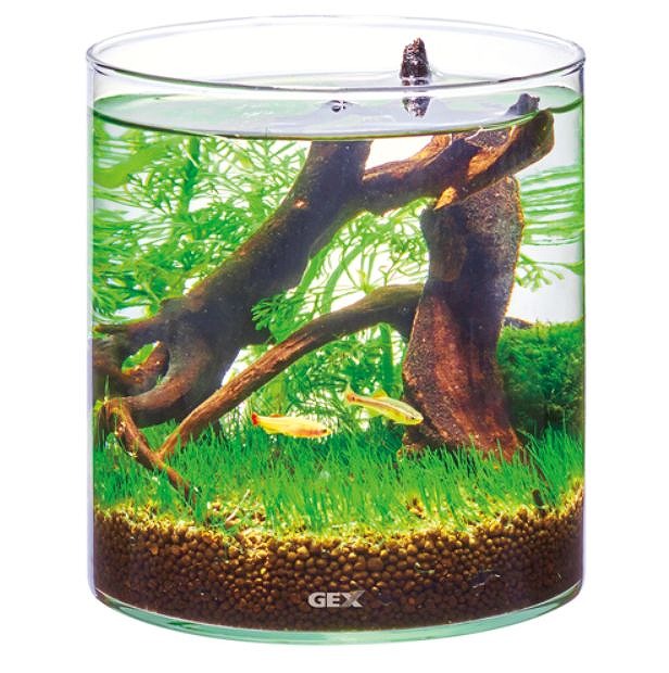 楽天市場 Gex グラスアクアリウム ポット水草インテリア ガラス製 Aquarium Zenith 楽天市場 Gex グラスアクアリウム ポット水草インテリア ガラス製 Aquarium Zenith