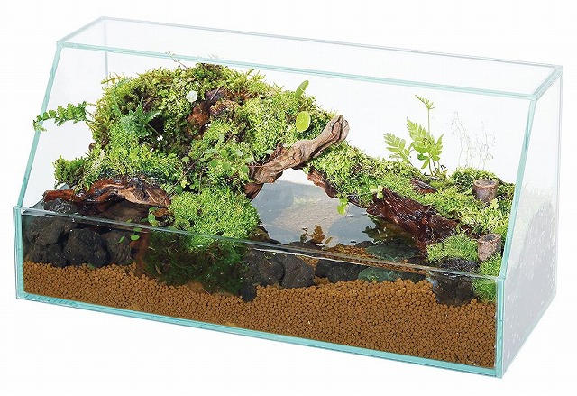 楽天市場 コトブキ工芸 レグラスネイチャーs400kotobuki Aquarium Zenith