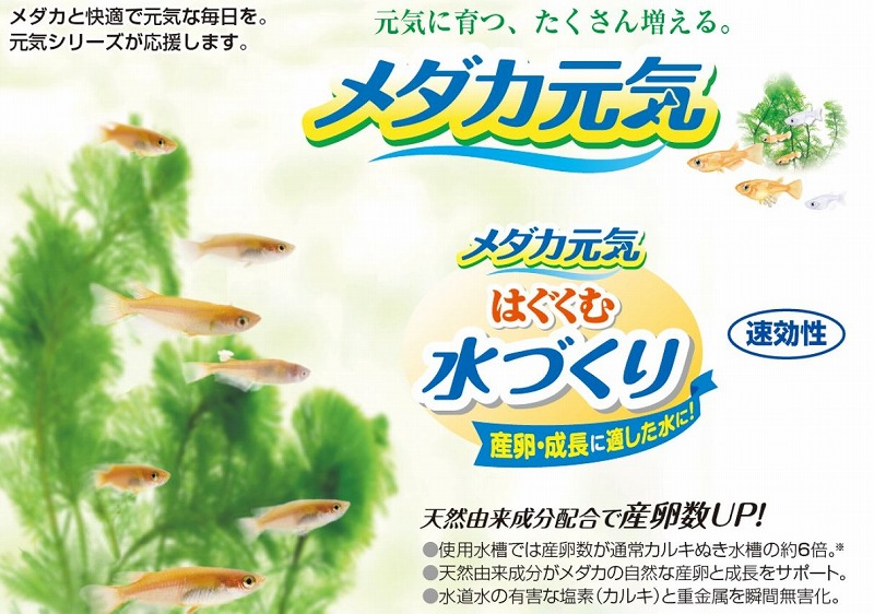 楽天市場 Gex メダカ元気 はぐくむ 水づくり300ml Aquarium Zenith 楽天市場 Gex メダカ元気 はぐくむ 水づくり300ml Aquarium Zenith