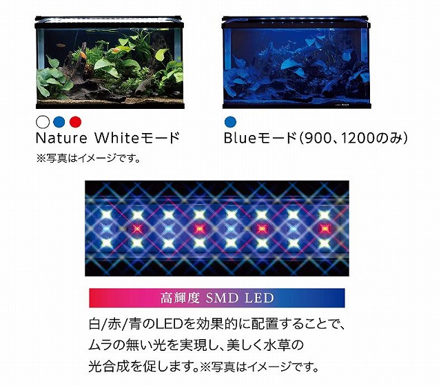 正規品 楽天市場 コトブキ工芸 フラットled Ss 10 ブラックkotobuki Aquarium Zenith 保障できる Lexusoman Com