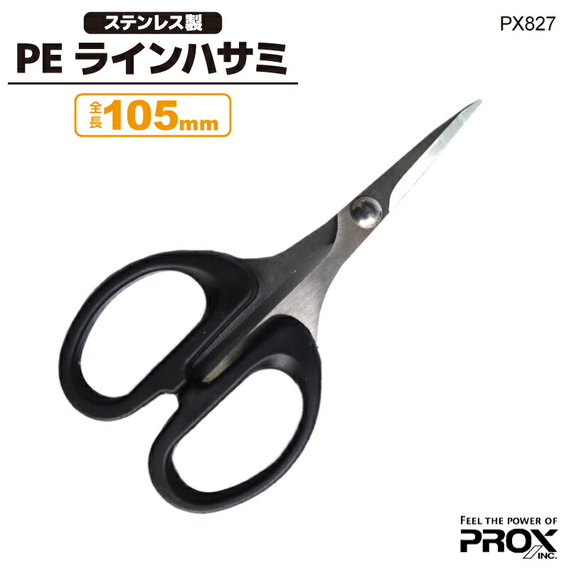さかな px827-01.jpg