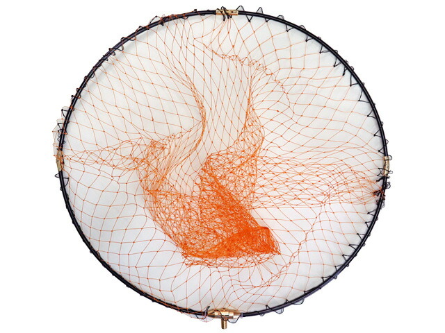 SCOOP磯玉網セット アルミ枠50cm 磯釣り・防波堤釣りに FIVE