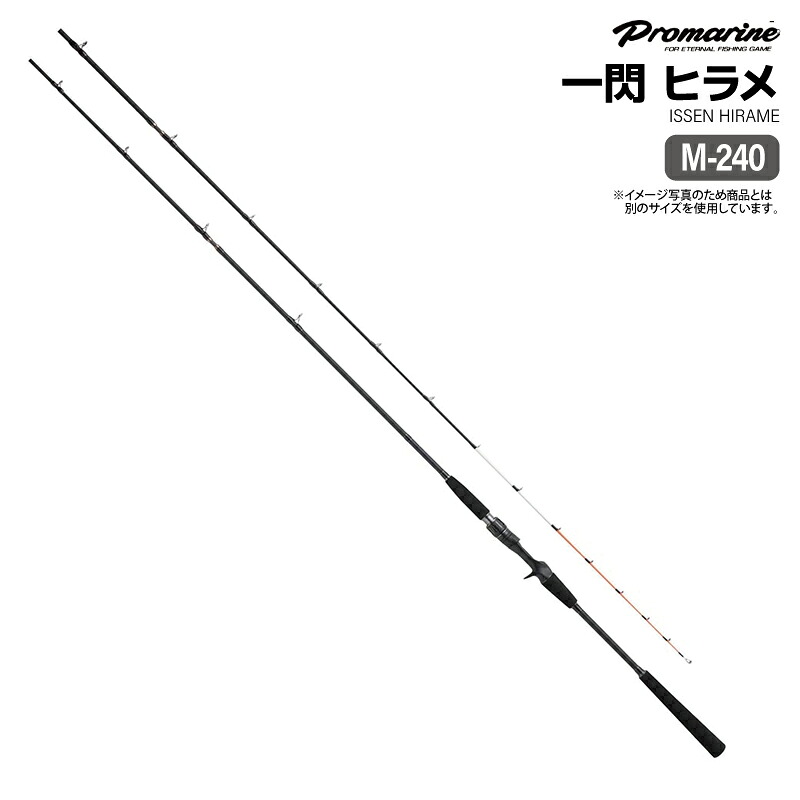 釣り竿 一閃 ヒラメ M240 ベイトモデル Fuji Sicトップガイド採用 船 平目 専用モデル ロッド PRO MARINE プロマリン