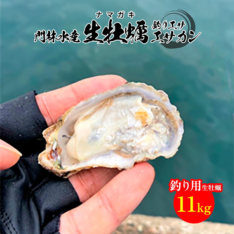 門林水産 生牡蠣 エサ缶 11kg （約297個前後） 瀬戸内海 広島県産養殖牡蠣 産地直送 釣り餌用カキ ナマガキ 冷蔵で約1週間保存可能 広島カキ応援
