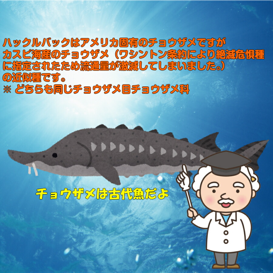 楽天スーパーsale 10 Off アメリカ産天然キャビア50g 冷蔵品 送料無料 本キャビア パーティー プレゼント 記念日 おつまみ おもてなし 父 の日 母の日 退職祝 オードブル グルメ 内祝 ギフト 珍味 バレンタイン ホワイトデー 女子会 Clinicalaspalmeras Com