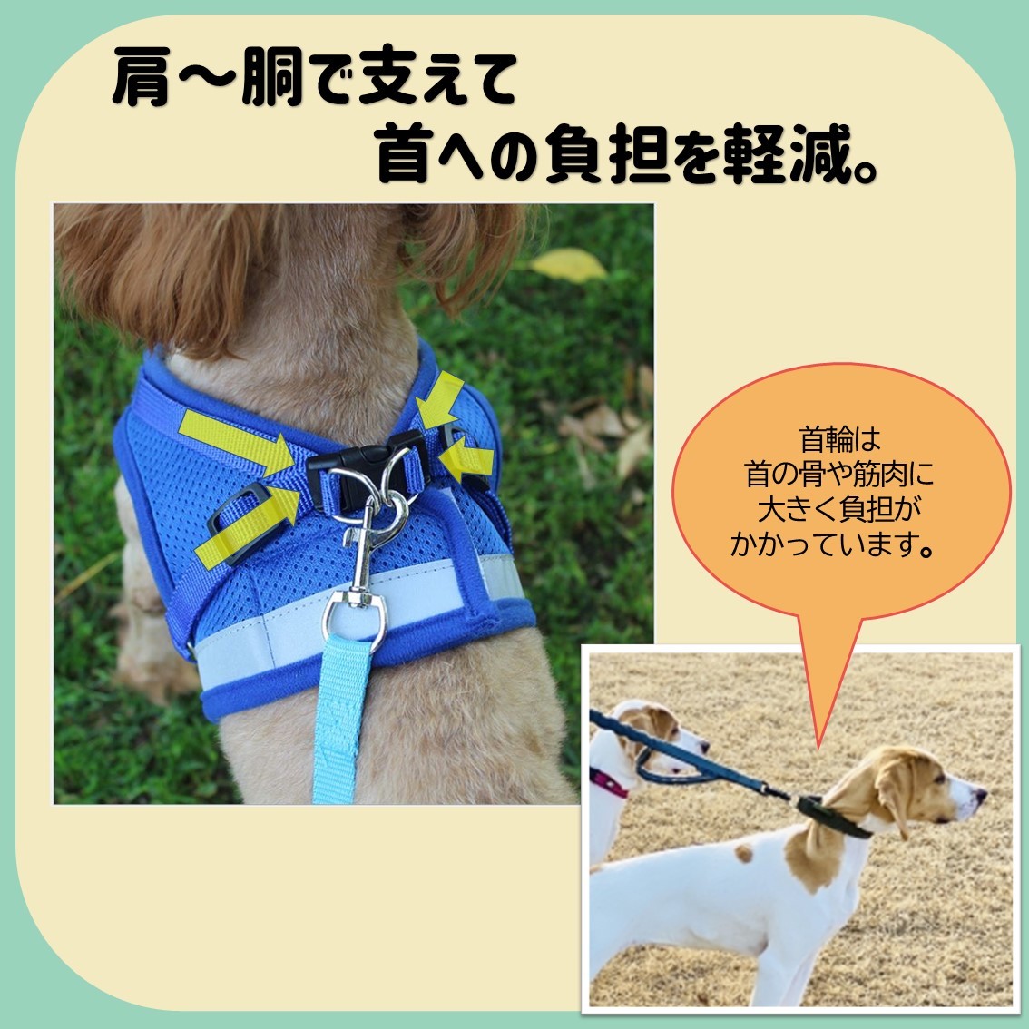 ハーネス 小型犬 可愛い 抜けない おしゃれ かわいい 中型犬 リード付 犬 猫 ペット 服 胴輪 犬用ハーネス 犬用胴輪 キャット ドッグ メッシュ 小型犬用 中型犬用 犬の服 ブルー ブラック L 冬 新品 M 春 S 女の子 ドッグウェア Xl