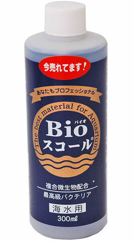 楽天市場 元日p5倍 バクテリア 海水魚 水質改善 水槽 アンモニア除去 バイオスコール 海水用 300ml 有効期限 22 06 26 アクアペットサービス