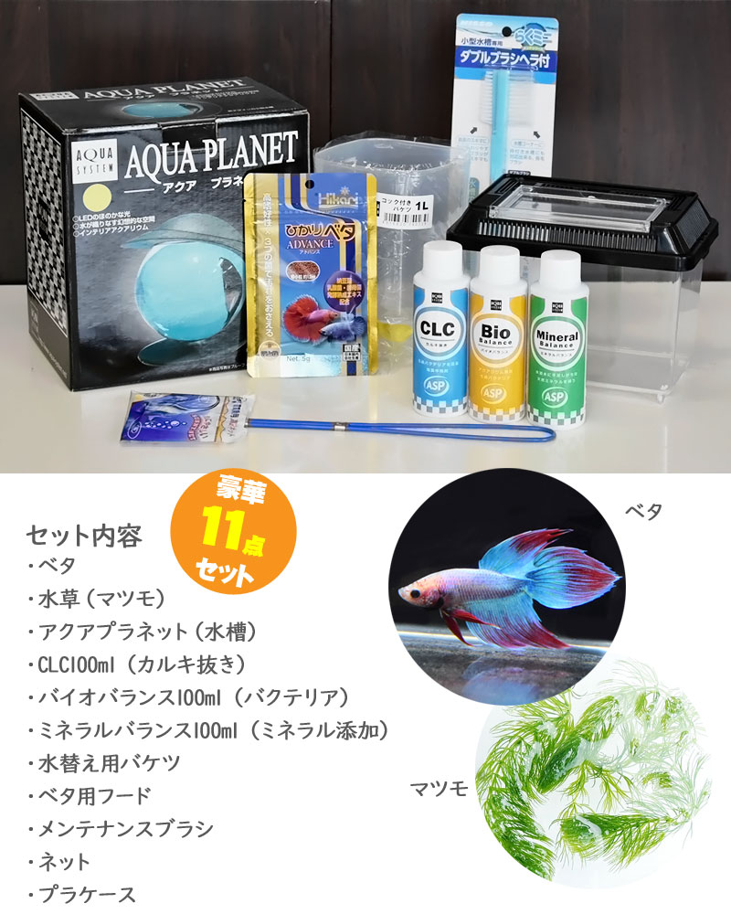 楽天市場 送料無料 ホームアクアリウムセット 簡単ベタ飼育セット アクアプラネット ブラック 初心者 簡単 家族の団欒 インテリア 癒しに 自由研究 アクアステージ