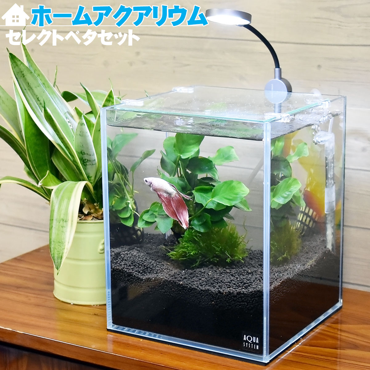 楽天市場】水槽台 120cm おしゃれ 組立済み【124×32×70cm】アクア