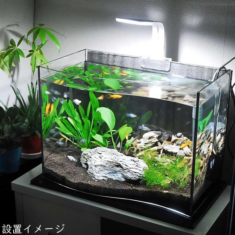 アクアシステム オーロラ 500 デザイナーズ 水槽 50cm 熱帯魚 金魚 水草 ガラス オールガラス インテリア Massage Mit Herz De