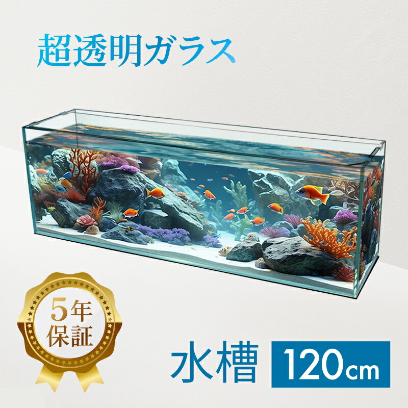 大型水槽 水槽紹介】大型水槽 KOTOBUKI ワイド900 5点LED導入 - YouTube