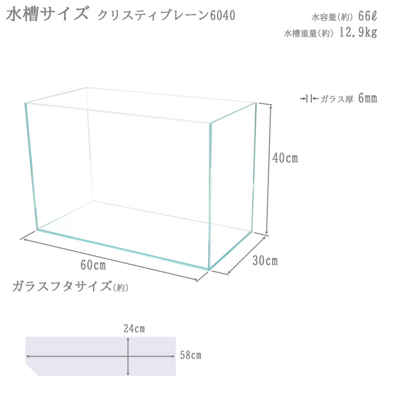 制限事項育てる自敬 担桶 クリスティ判然たる 6040 60 30 40cm 66l 60cm水槽 超トランスペアレンシー 嚠喨たるヴィードロ 熱帯魚 金魚 水草 レイアウト 水族館 赤条々で麗しい水槽です Darwishelectronics Jo