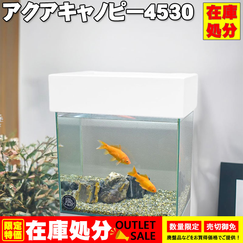 楽天市場】【在庫処分】アクアキャノピー9030 アクアシステム 90cm
