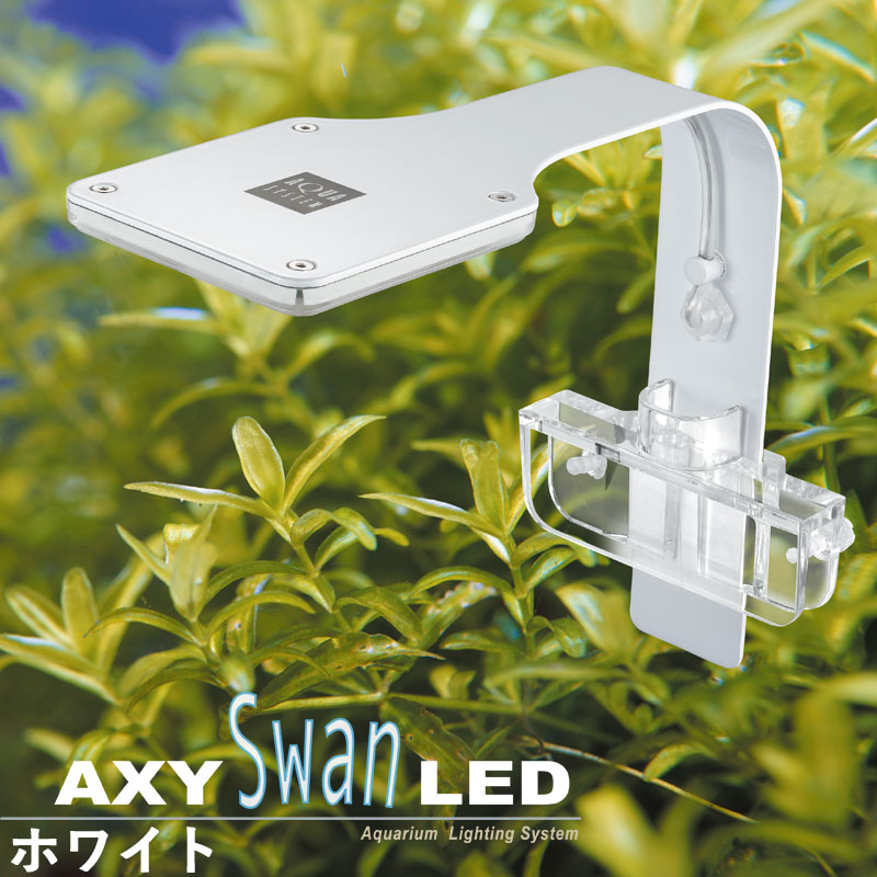 楽天市場】アクアシステム AXY LC Power 600 ホワイト アクシー