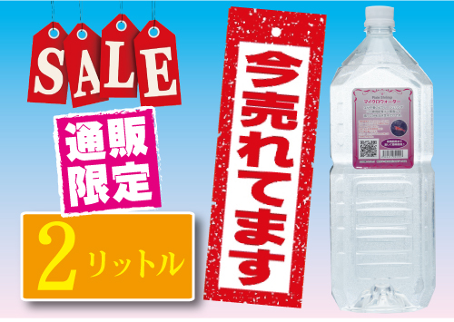 楽天市場】ピクシーシュリンプ【ホロホロシュリンプ】単体５匹+（死着