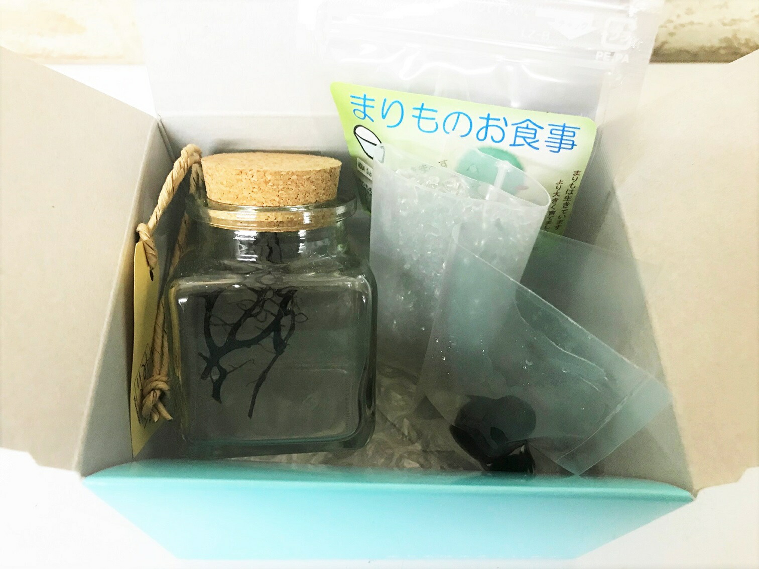 水草まりも角瓶クリスタルグラスサンドクリア栄養剤セット