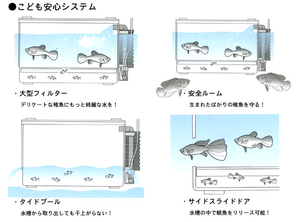 楽天市場 日本動物薬品 産卵 飼育ケース ベビーボックス プラス 熱帯魚 アクアリウム 水槽 その他 アクアテイラーズ 楽天市場支店