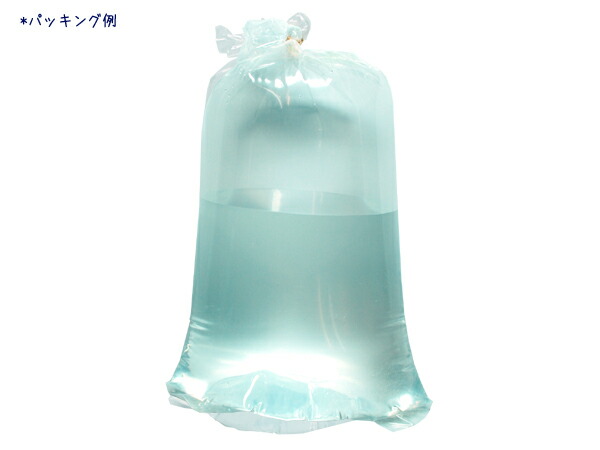 楽天市場 鑑賞魚用パッキング袋 大 １００枚セット 品番 ｒ ２７ 熱帯魚 アクアリウム 用品 器具 その他 アクアテイラーズ アクアテイラーズ 楽天市場支店
