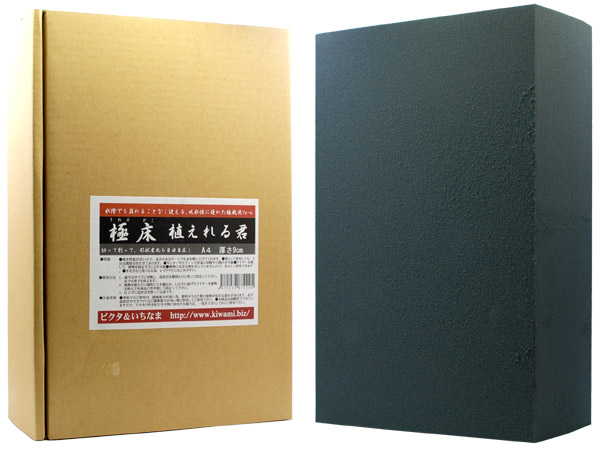 楽天市場】【佐川急便発送・送料無料】Rain Forest パルダリウムケージ