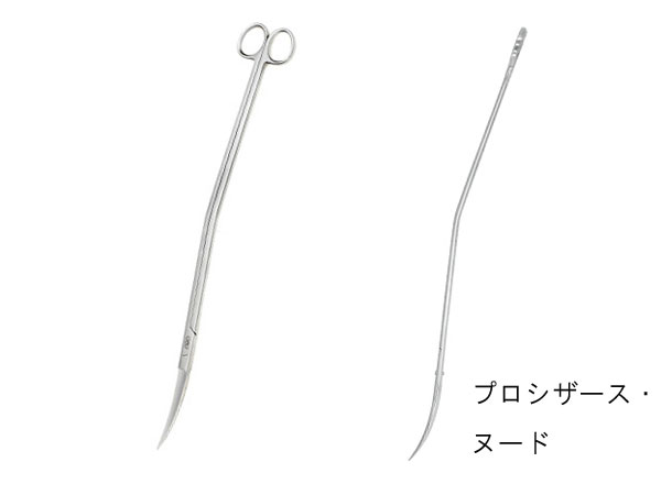 ADA　106-076　プロシザース・ヌード｜アクアテイラーズ　支店 7,200円