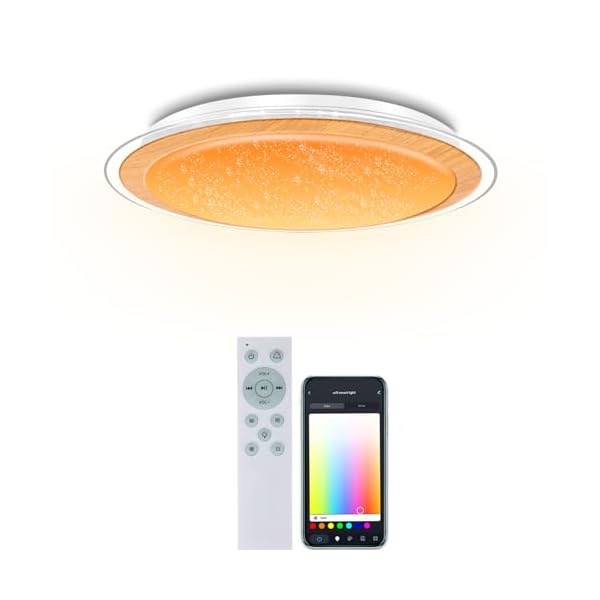 【貨物輸送無料】LED 快い音最高限度点火装置 14畳 肌理×澄み切ったデュアル輪っか 無線LAN繋ぎ合わせる  alexa相応う 物音/APP抑えつける 内蔵のBluetooth金棒引き RGB点火装置 末たのもしい 和風 調光調色 かっこ良い養護ホーム点火装置 高?度 遠隔操作付き添い人 佇まいラ