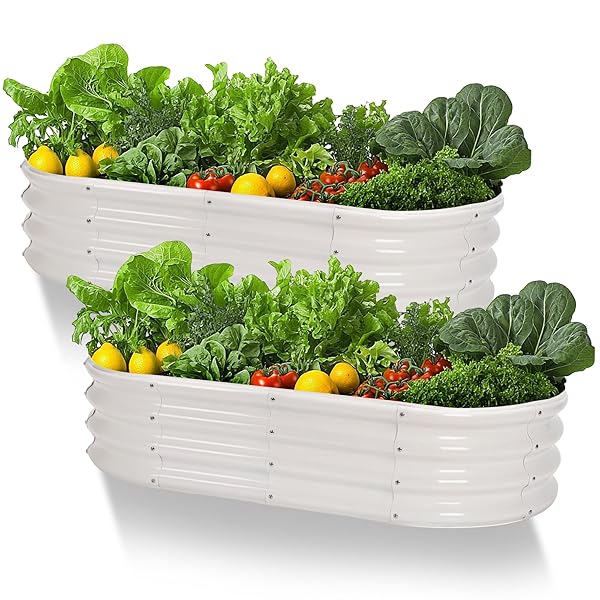 【送料無料】レイズドベッド 家庭菜園 亜鉛メッキ 幅120&times;奥行60&times;高さ28cm ガーデンベッド プ｜ARストア　店