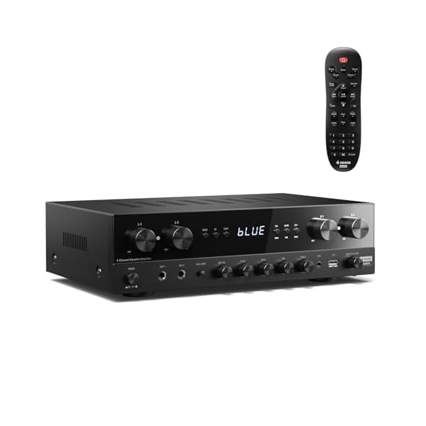 【貨物輸送無料】力強さアンプリファイアー、オーディオアンプリファイアー Bluetooth 5.0、USB、FM、2マイクロホンはたご屋、山びこ、RCA