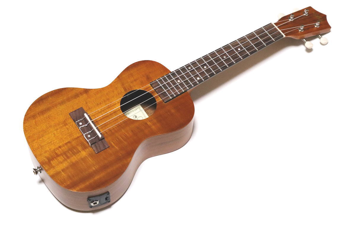 楽天市場】ARIA ATU-180/6K 新品 6弦ウクレレ/ウクレレギター[アリア