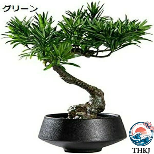 【全品5%ポイント】人工盆栽 人工の小 さな盆栽 松の木の 偽の緑の 植物の飾 りと黒の セラミッ クポット 和風植物 の鉢植え コーヒー テーブル シェルフ｜aragok