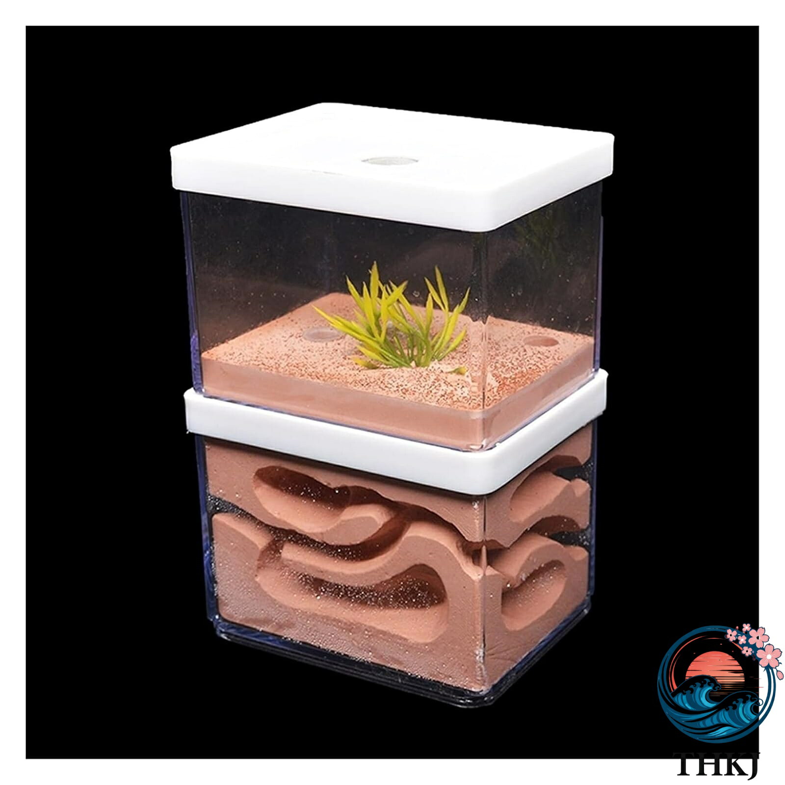 【全品2点で5%OFF】アリ飼育箱 アリの巣 蟻観察セット アリの巣観察キット アリの農場 石膏アリ農場自然生態学的な大きなアリの巣昆虫城ワークショップペッ 13,622円