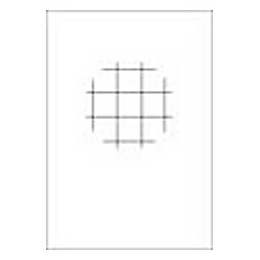 LEE 100×150mm角 フォトグラフィック樹脂フィルター 部分クロス系 4PTスタースポット /LEE 4PTスタースポット 389294