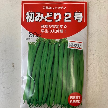 楽天市場 つるなしすじなしインゲン豆のタネ 初みどり2号 30ml 約50 60粒 露地直まきは5月初旬から 荒川種苗 楽天市場店