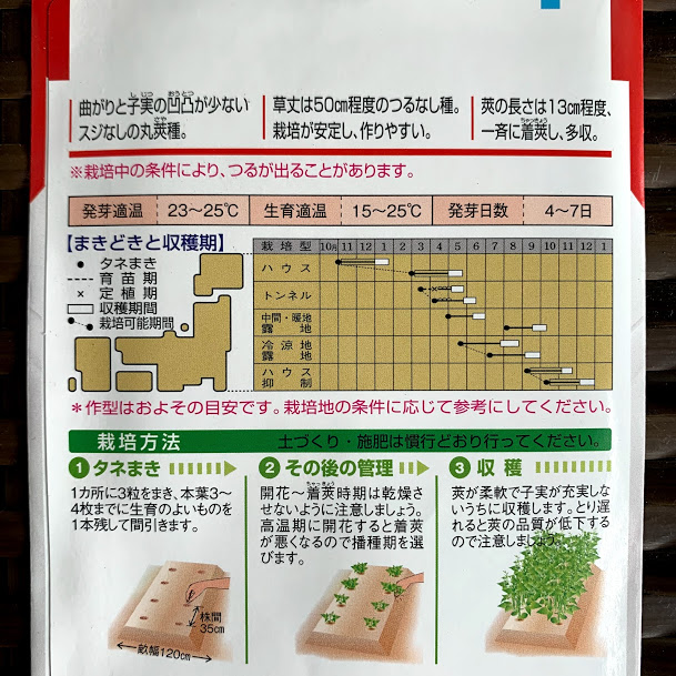 楽天市場 つるなしすじなしインゲン豆のタネ 初みどり2号 30ml 約55粒 露地直まきは5月初旬から 荒川種苗 楽天市場店