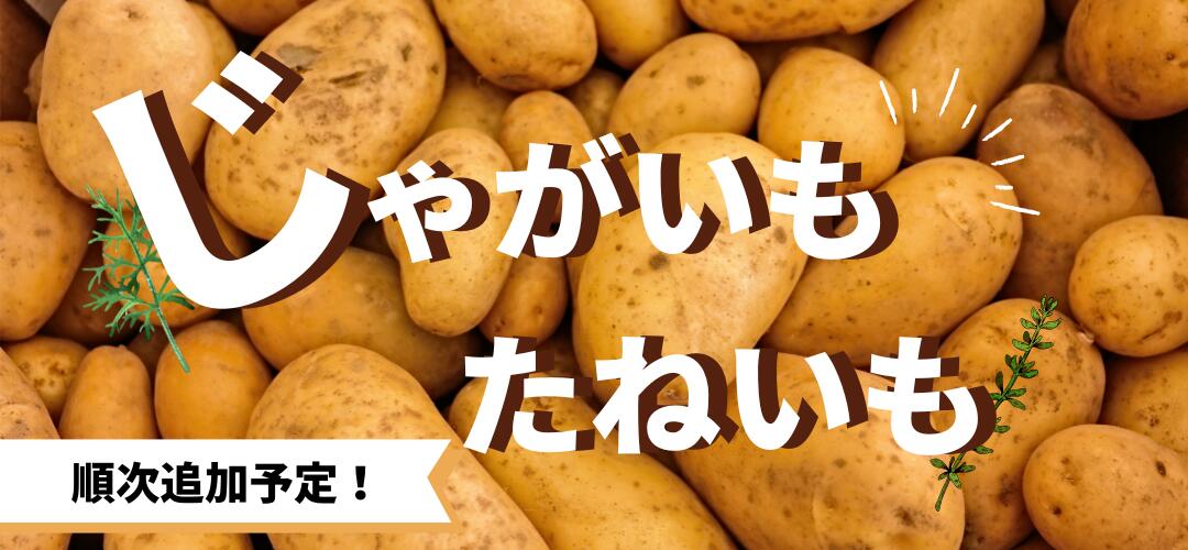楽天市場】7年産 春植え 出島 1kg じゃがいも 種芋 サイズ2S～S 広島