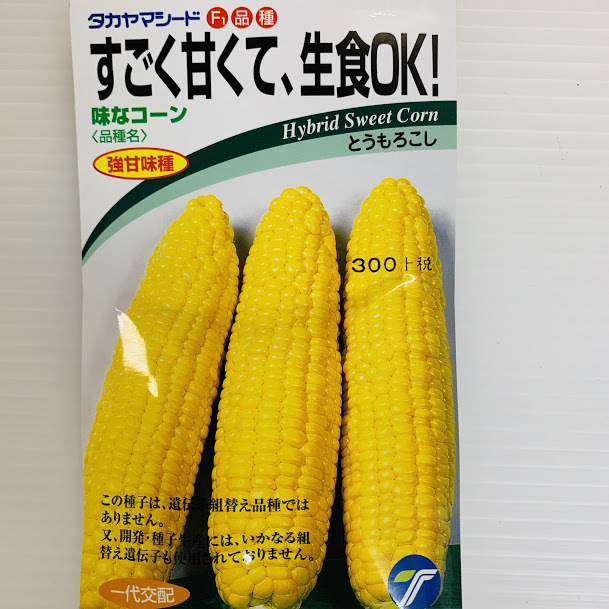 楽天市場 生食okとうもろこしのタネ スイートコーン 約100粒入り 播種から約86日で収穫 荒川種苗 楽天市場店