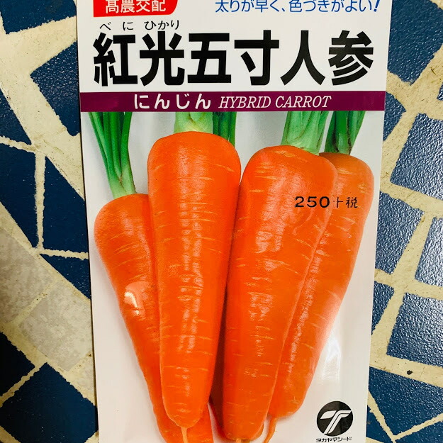 楽天市場】金時ニンジンのタネ 本紅金時人参 特用約3500粒（20ﾐﾘﾘｯﾄﾙ） 毛除種子 7〜8月まき : 荒川種苗 楽天市場店