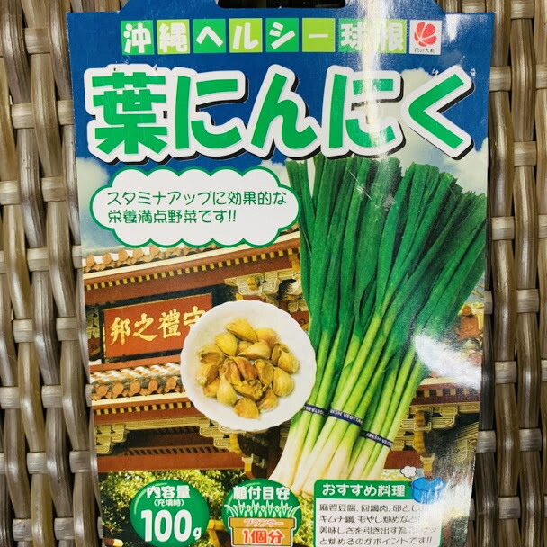 楽天市場】わけぎ 種 球根 苗 500g 植え付け約40箇所分 大粒の在来
