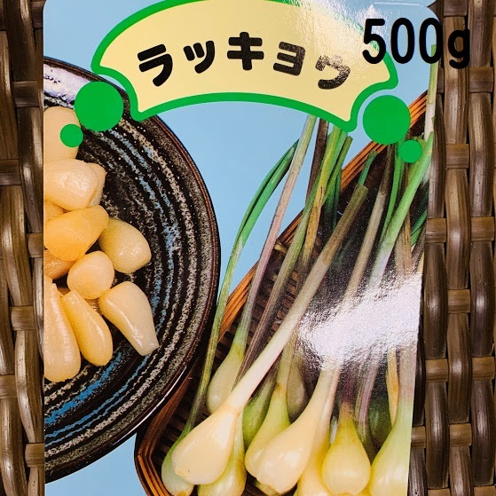 楽天市場 らっきょう球根 種 500g 植え付け約30 40か所分 8 9月植え 5 6月収穫 プランター栽培ok 秋植え 荒川種苗 楽天市場店