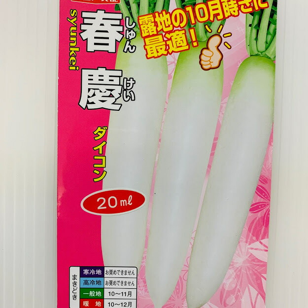 楽天市場 2 3月獲り大根 春慶 しゅんけい 種 約900粒 ﾐﾘﾘｯﾄﾙ 10月まき ナント交配 寒冷地 高冷地での栽培には向きません 青首 大根 極晩抽品種 ゆっくり太り揃いが良い 荒川種苗 楽天市場店