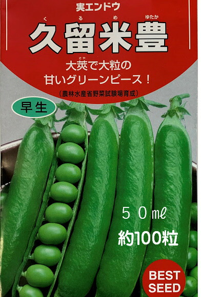 久留米エンドウ豆 久留米エンドウ豆 タキイ種苗 久留米豊【徳用】 ＜豆の種＞の通販
