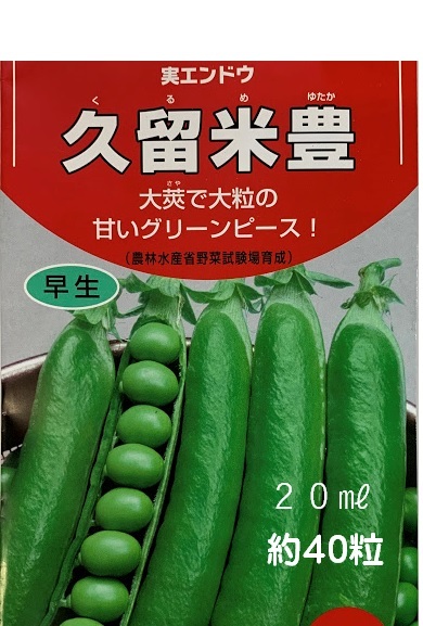 久留米エンドウ豆 compass1570541181.jpg