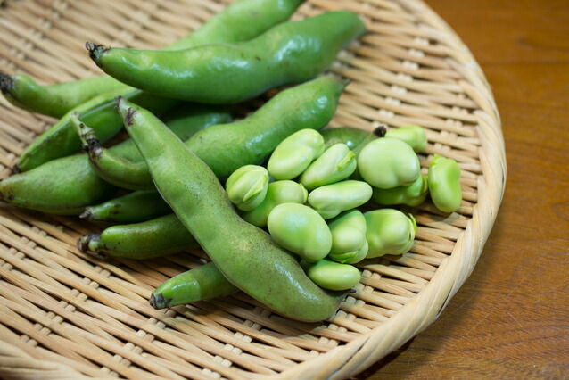 香川県産 そら豆の種 1kg 約420粒 香川県産 そら豆の種 1kg 約420粒 - メルカリ